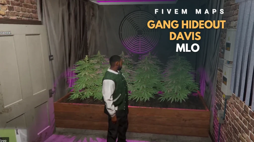 Gang Hideout Davis MLO